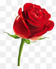 Free Rose Images Download Free Clip Art Free Clip Art - Red Rose Png Emoji,Rose Emoji Png