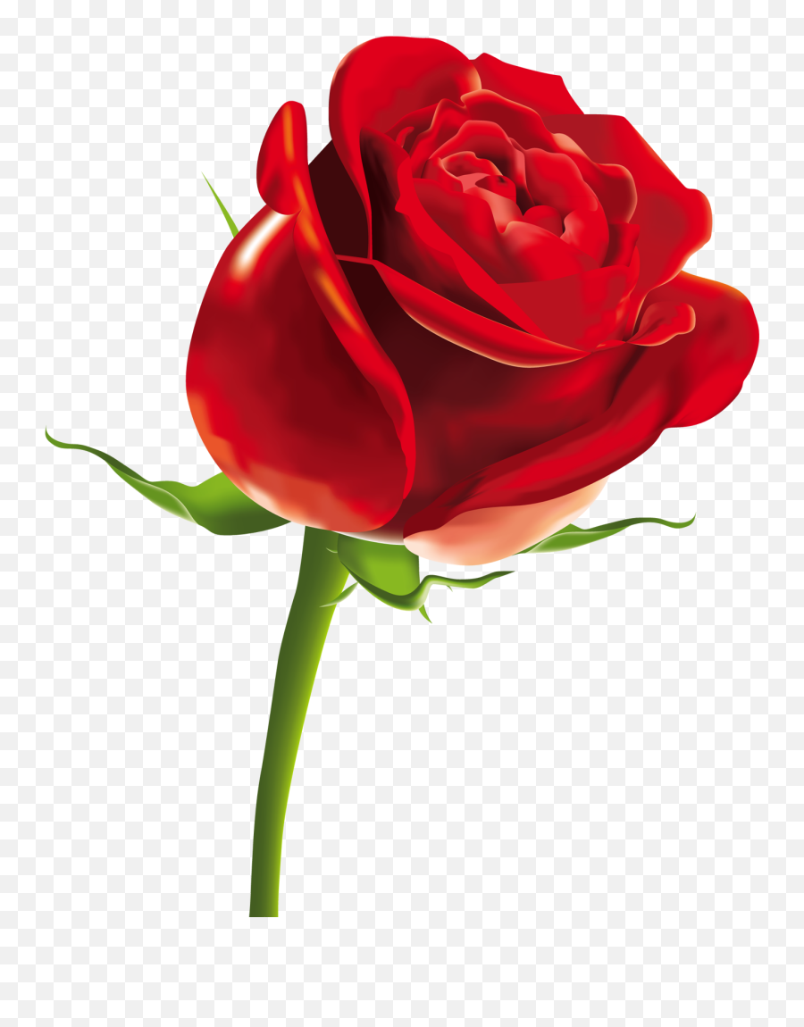 Free Rose Images Download Free Clip Art Free Clip Art - Red Rose Png Emoji,Rose Emoji Png