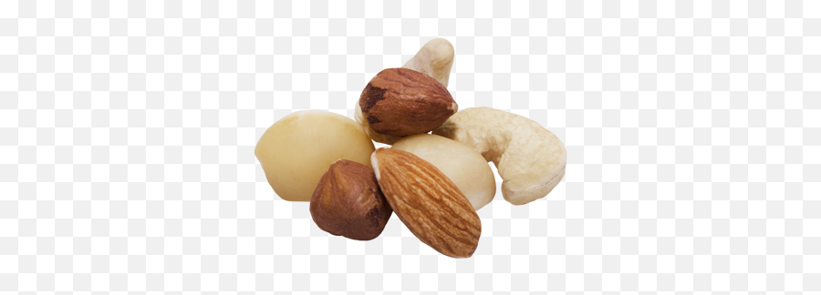 Nuts Transparent - Free Cliparts U0026 Png Nuts Transparent Transparent Mixed Nuts Png Emoji,Nuts Emoji