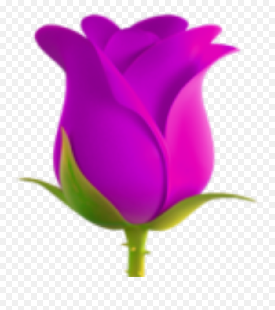 Sticker - Apple Rose Emoji Transparent,Pink Rose Emoji