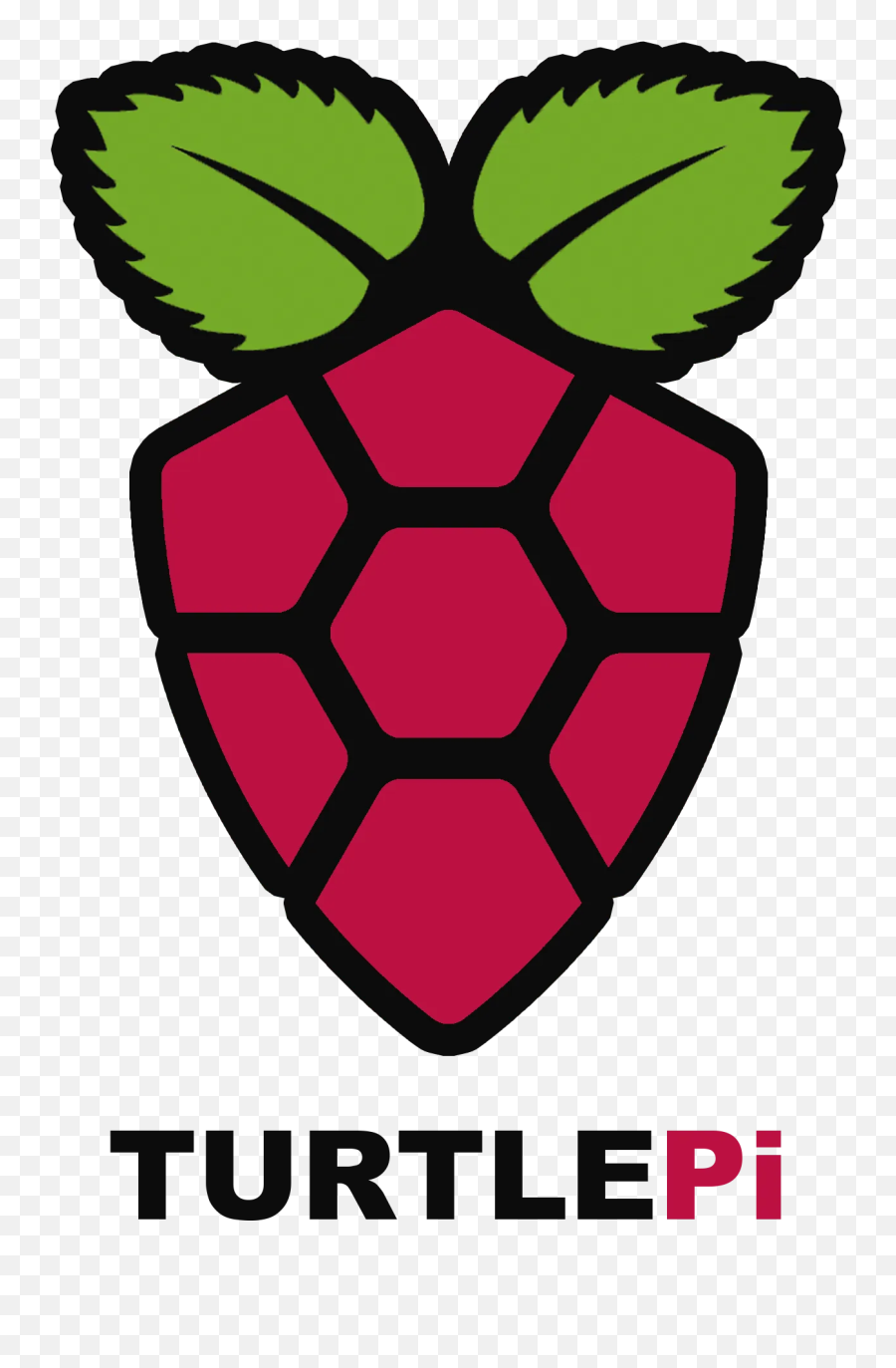 Turtleedu U2013 Turtlecoin - Raspberry Pi 3 Symbol Emoji,Turtle Emoji Pillow