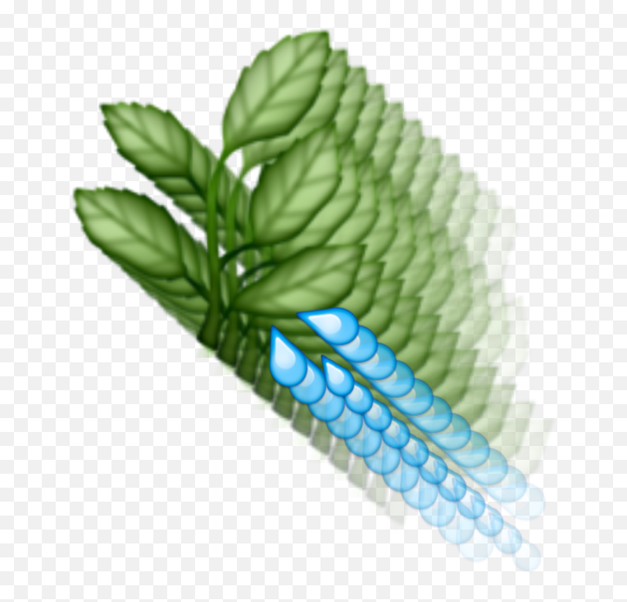 Emoji Green Blue Water Leaves - Illustration,Mint Emoji