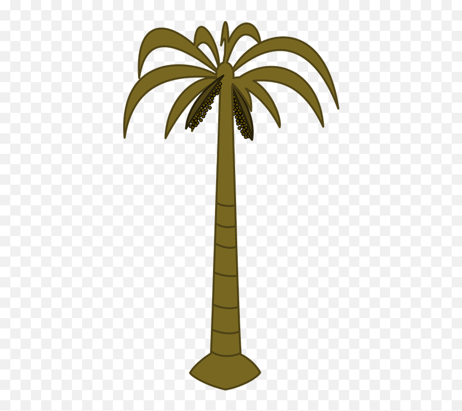 Palm Tree Isolated Palm Tree Images - Palm Tree Clip Art Emoji,Palm Tree Drink Emoji