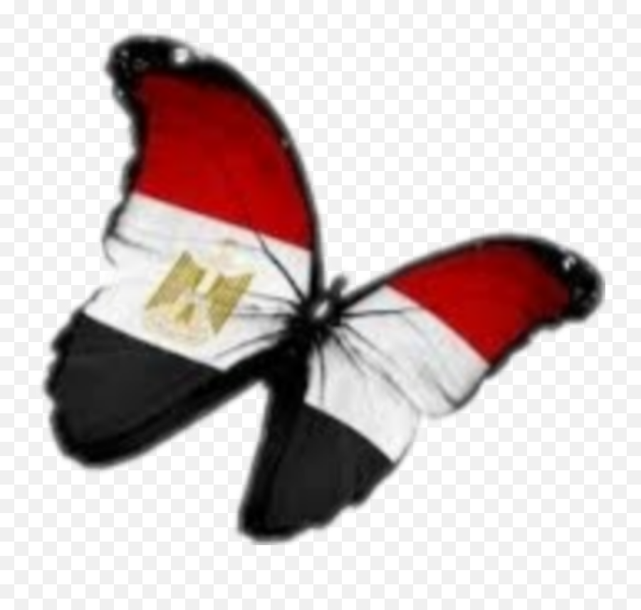 Egypt Butterfly Flag - Honduras Drawings Emoji,Egyptian Flag Emoji