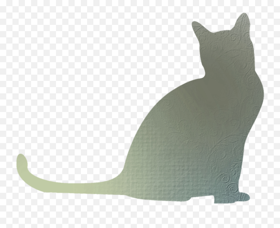 Cat Shadow Png U0026 Free Cat Shadowpng Transparent Images - Gato Sombra Emoji,Cat With Ok Emoji