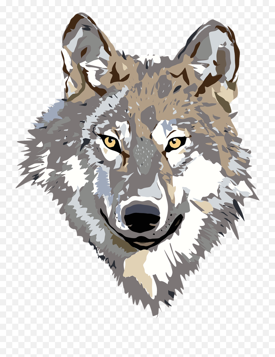 Wolf Face Head Gray Brown - Wolf Clipart Png Emoji,Shark Emoticon
