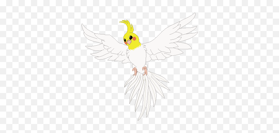 Flying Cockatiel - Cockatiel Animation Emoji,Flying Bird Emoji