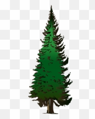 Pine Tree Clipart Free Images 5 - Evergreen Art Emoji