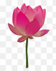 Pink Flower Emoji Png - Transparent Background Clipart