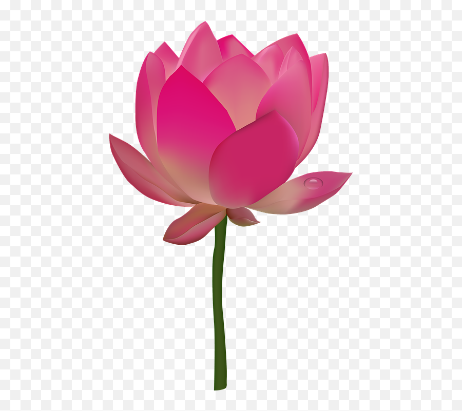 Pink Flower Emoji Png - Transparent Background Flower Clipart,Pink Flower Emoji