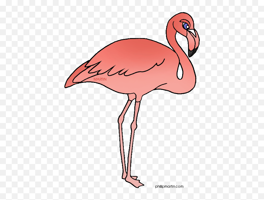 Sunglasses Clipart Flamingo Sunglasses Flamingo Transparent - Greater Flamingo Emoji,Flamingo Emoji