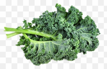 Kale Transparent PNG SVG Clip art for Web - Download Png Emoji