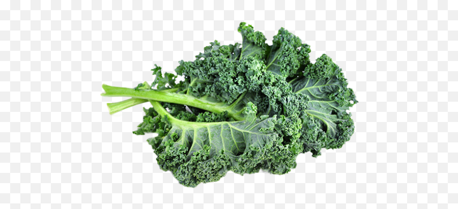 Kale Transparent Png Png Svg Clip Art For Web - Download Kale Transparent Png Emoji,Kale Emoji