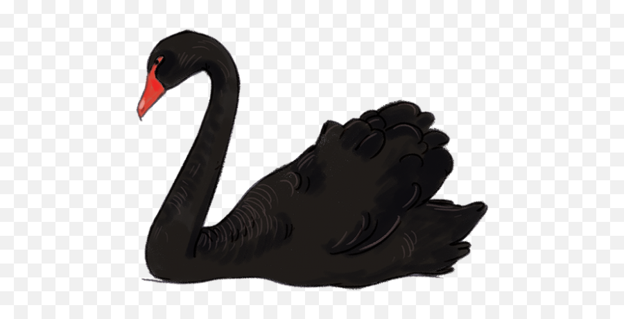 Black Swan Clipart Hans - Black Swan Clipart Emoji,Swan Emoji