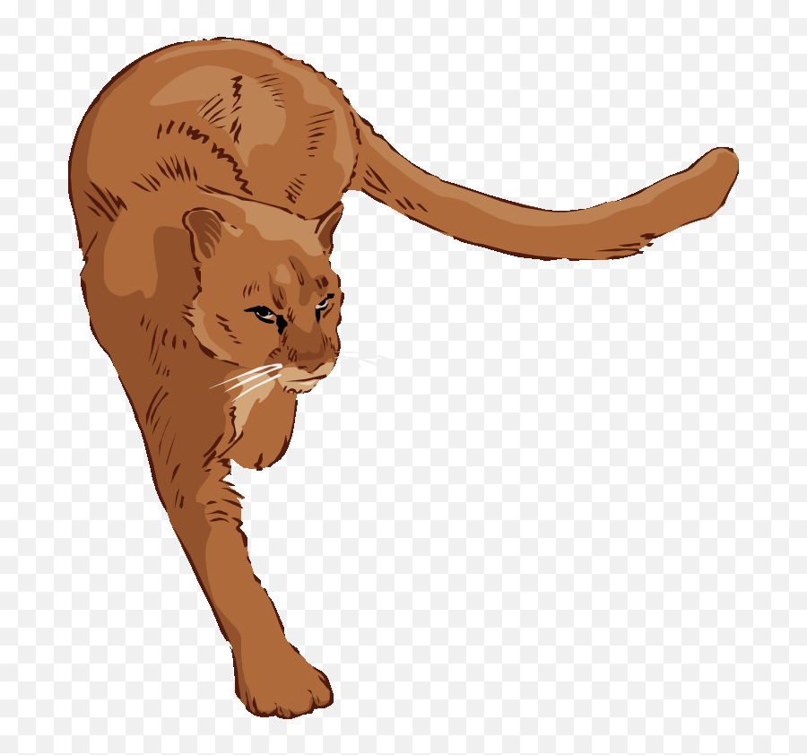 Free Cougar Clipart - Transparent Cougar Clipart Emoji,Cougar Emoji