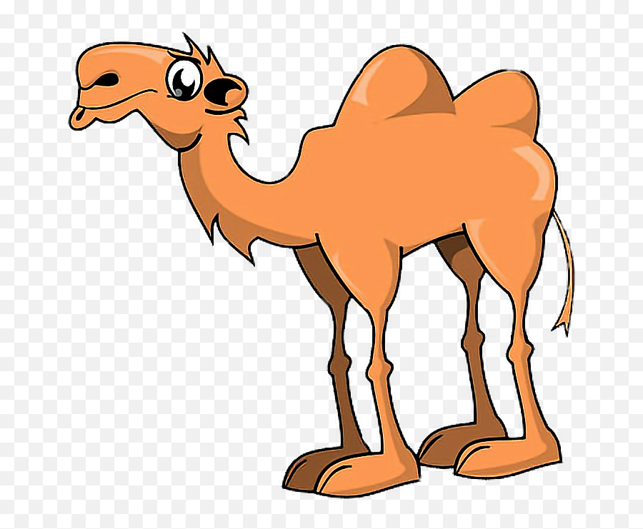 Animals Camel Hump Humpday Freetoedit - Camel With Humps Clipart Emoji,Humping Emoji