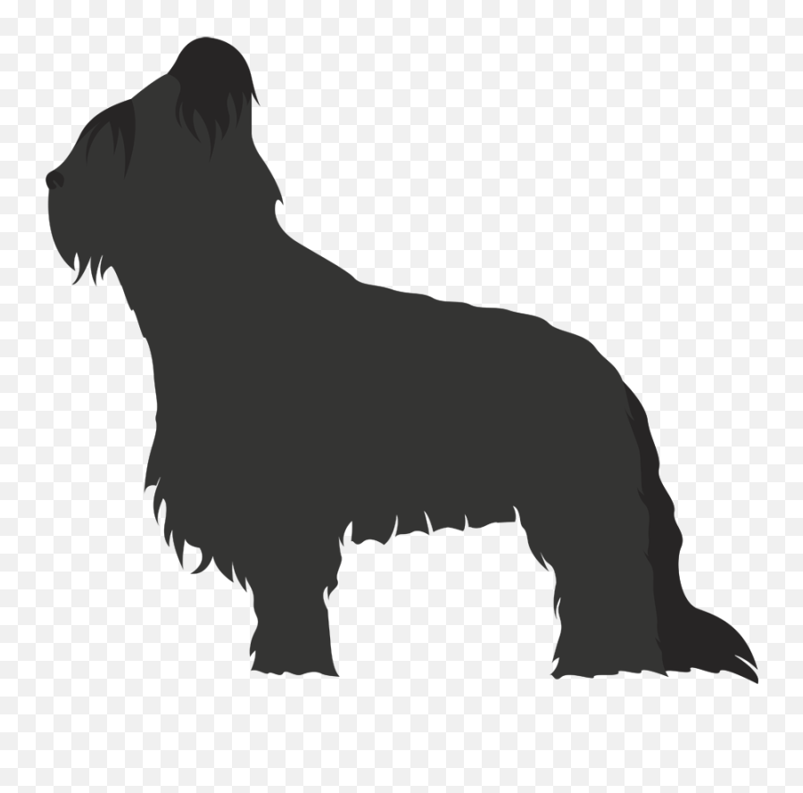 Scottish Terrier Non - Pastor De Brie Silueta Emoji,Scottie Dog Emoji