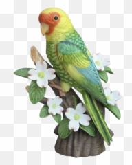 Budgie Drawing Parakeet Transparent - Carolina Emoji