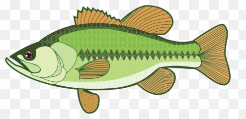 Bass Base Fish Free Pictures Free - Bass Clipart Fish Emoji,Bass Clef Emoji