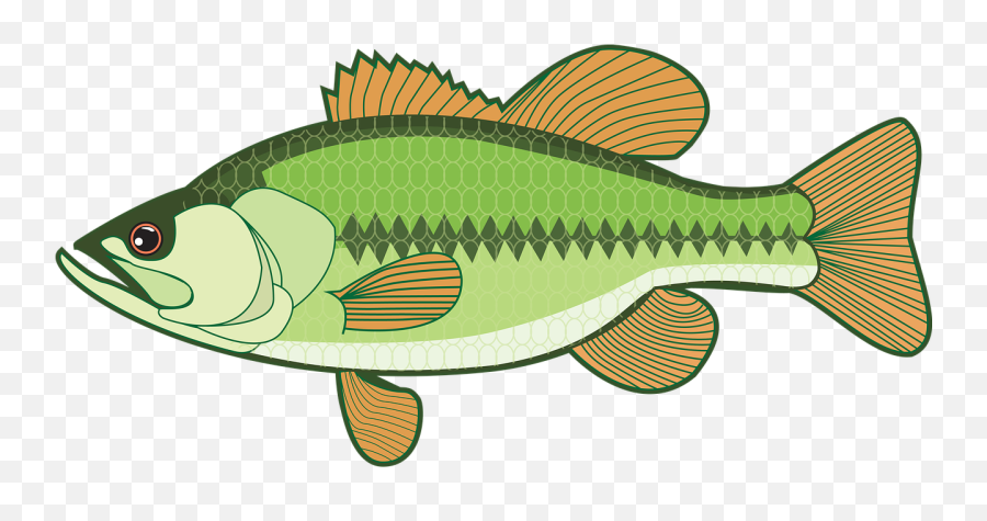 Bass Base Fish Free Pictures Free - Bass Clipart Fish Emoji,Bass Clef Emoji