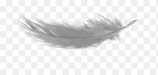 White Feather Download Png No Background - Final Fantasy Distant Worlds Emoji,Is There A Feather Emoji