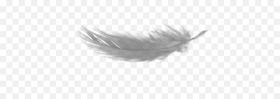 White Feather Download Png No Background - Final Fantasy Distant Worlds Emoji,Is There A Feather Emoji