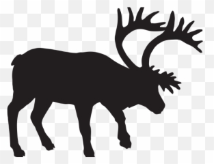 Buck Clipart Dxf - Png Download Full Size Fallow Cliparts Emoji