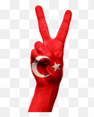 Turkey Flag Hand - Happy Independence Day Turkey Emoji,Turkish Flag Emoji