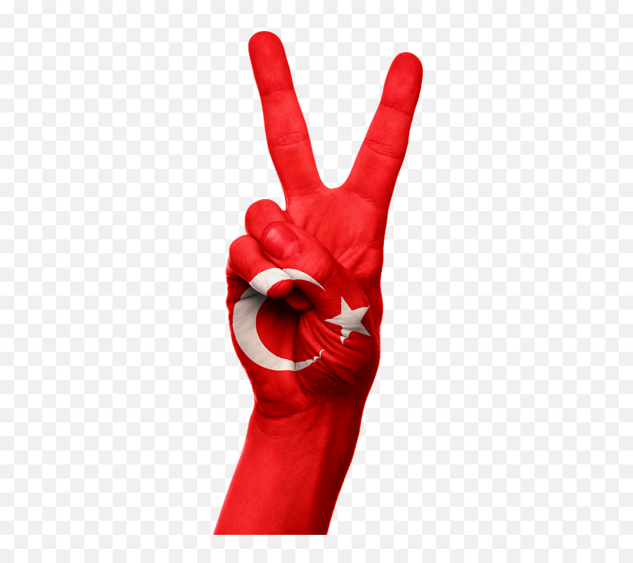 Turkey Flag Hand - Happy Independence Day Turkey Emoji,Turkish Flag Emoji