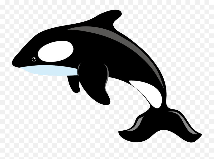 Killer Whale Clipart Png - Killer Whale Clipart Png Emoji,Orca Emoji