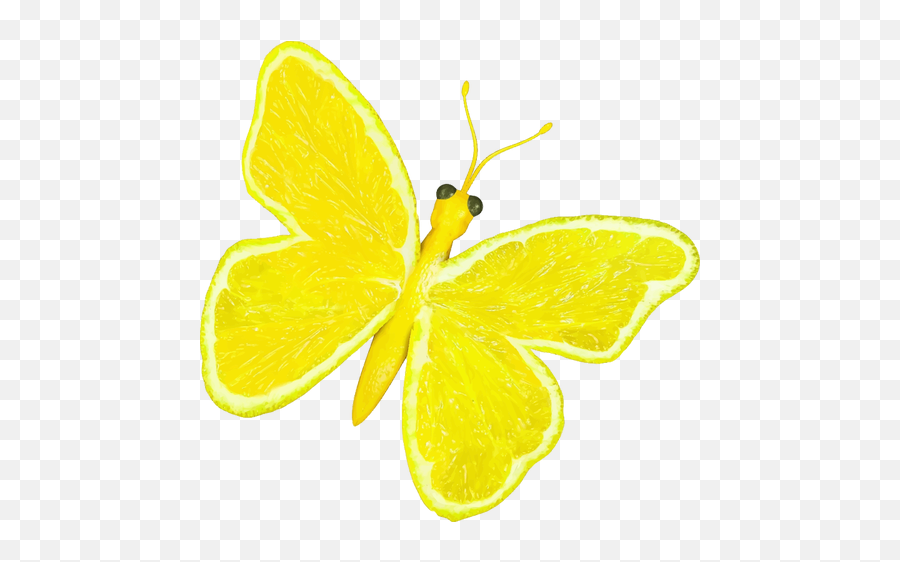 Butterfly Lemon Emoji,Butterfly Emoji