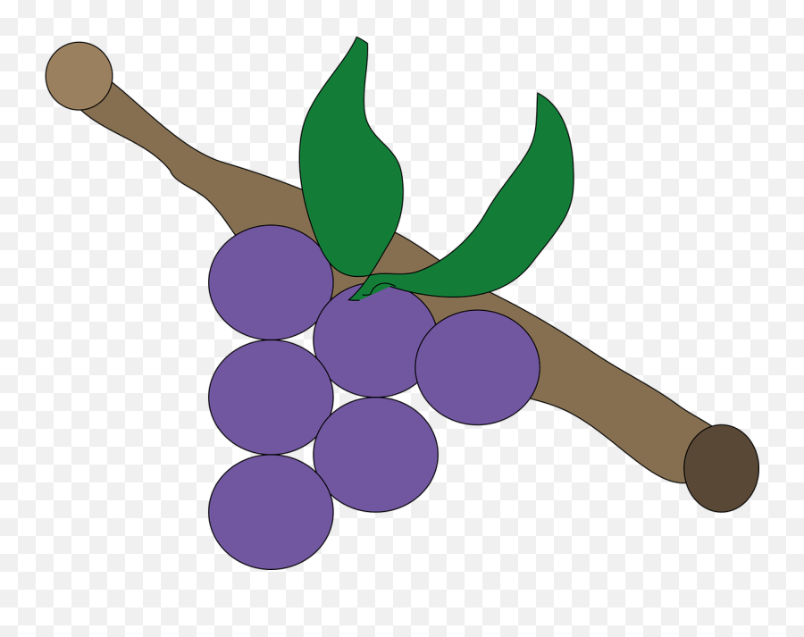 Grape Lila Purple - Anggur Merah Buah Vector Emoji,Grape Emoji