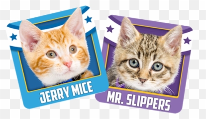 Hut Are You Ready - Kitten Emoji