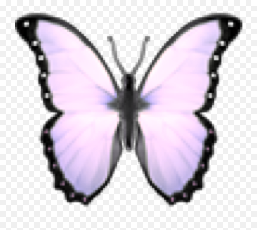 Aesthetics Aesthetictumblr Aestheti - Papilio Machaon Emoji,Butterfly Emoji Iphone