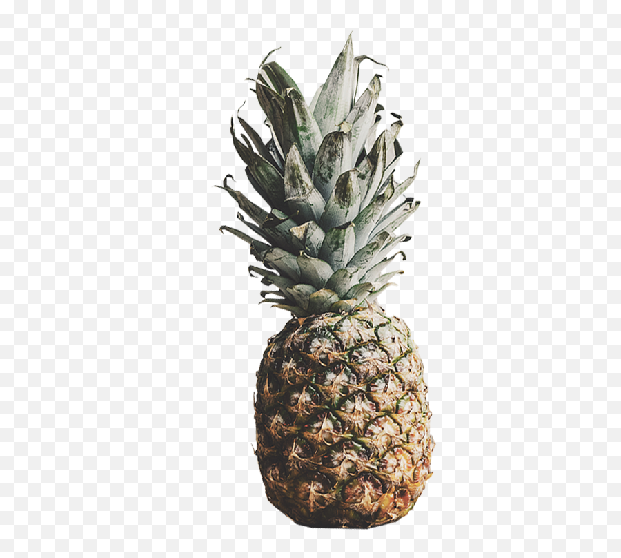 Pineapple Cutouts - Superfood Emoji,Pineapple Emoji