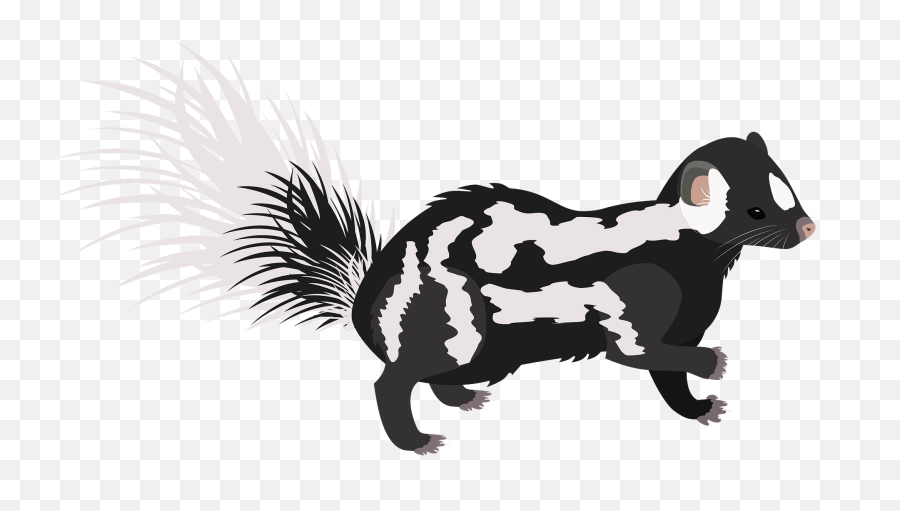 Eastern Spotted Skunk Clipart Free Download Transparent - Animal Figure Emoji,Giraffeemoji.com