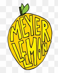 Meyer Lemon Lemon Drawing Meyer Lemon Hand Lettering - Clip Art Emoji,Lemon Emoji