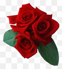 Rose Clip Art - Transparent Background Red Rose Clip Art Emoji,Rose Emoji Png