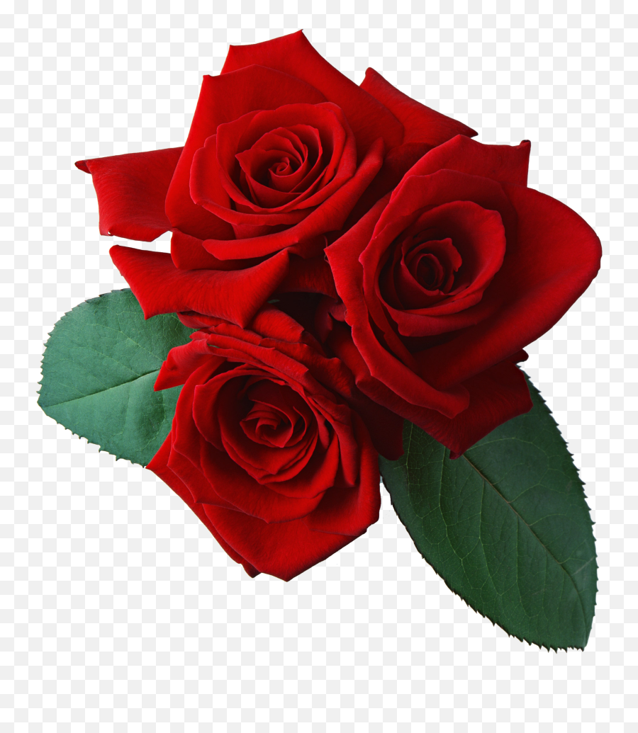Rose Clip Art - Transparent Background Red Rose Clip Art Emoji,Rose Emoji Png