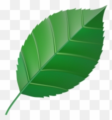 Clipart Transparent Green Leaf Emoji