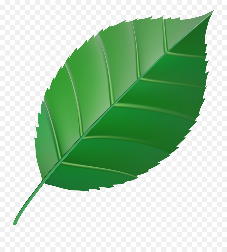Clipart Transparent Green Leaf Emoji,Green Leaf Emoji