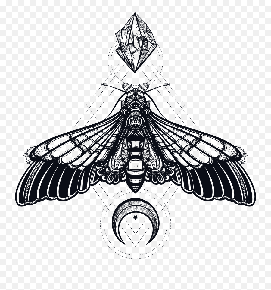 Butterfly Head Clipart - Transparent Deaths Head Moth Emoji,Moth Emoji