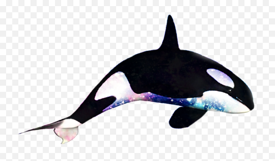 Orca - Killer Whale Emoji,Orca Emoji