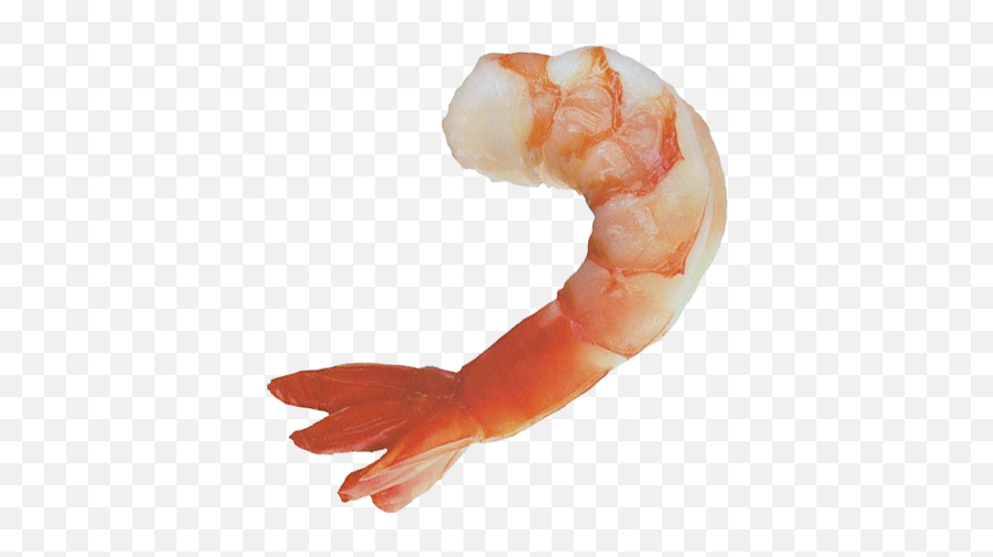 Transparent Shrimp Picture - Shrimp Emoji,Emoji Tiger And Shrimp