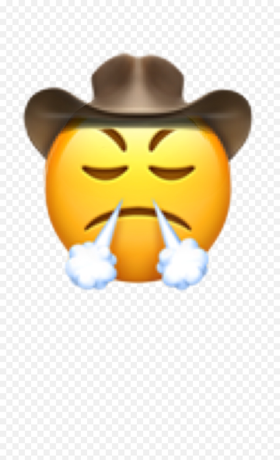 Cowboy Cowboyemoji Yeehaw Frustrated Emoji Freet - Face With Steam From Nose Emoji,Emoji Frustrated