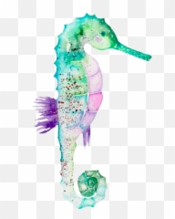 Seahorse Freetoedit - Illustration Emoji,Seahorse Emoji