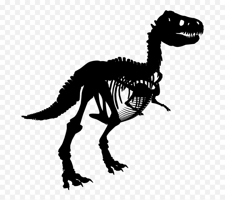 Tyrannosaurus Rex Dinosaur - Dinosaur Fossil Png Emoji,T Rex Emoji