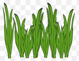 Free Weed Grass Cliparts Download Free Clip Art Free Clip - Seagrass Clipart Emoji,Weed Plant Emoji