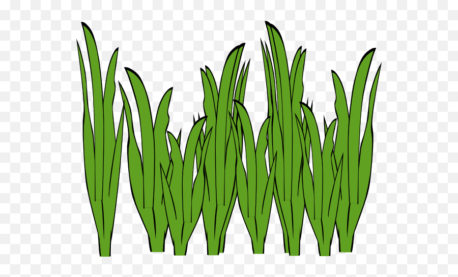 Free Weed Grass Cliparts Download Free Clip Art Free Clip - Seagrass Clipart Emoji,Weed Plant Emoji