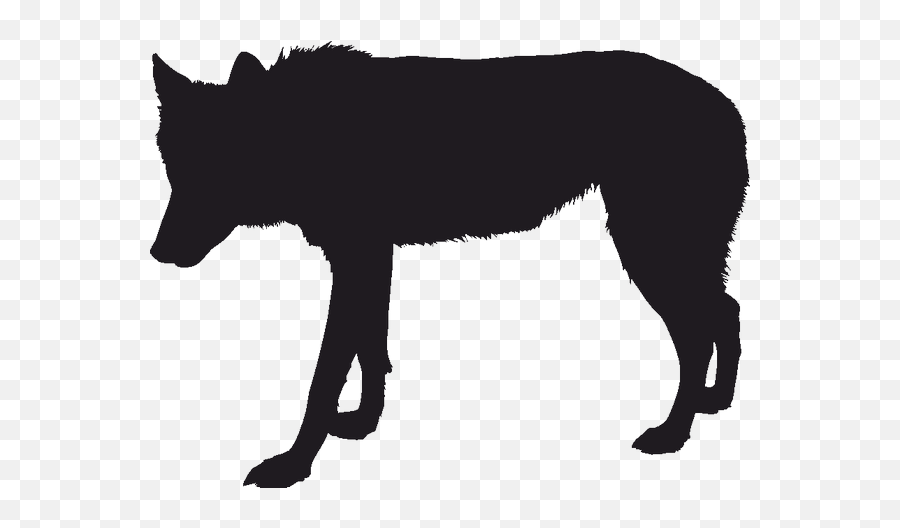 Gray Wolf Silhouette Black Wolf Drawing - Silhouette Png Transparent Black Wolf Silhouette Emoji,Wolf Emojis